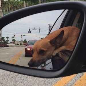 Meet your Posher, Coco